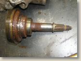 ol300311 (7).JPG